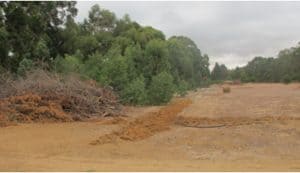 large_healthyhabitat