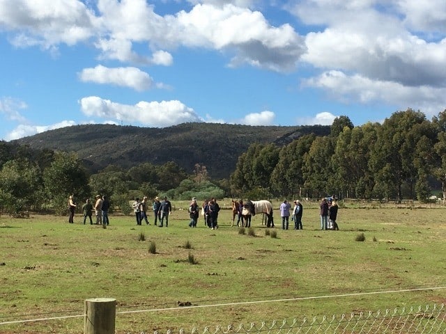 Equine property in Serpentine practising Sustainable Agriculture