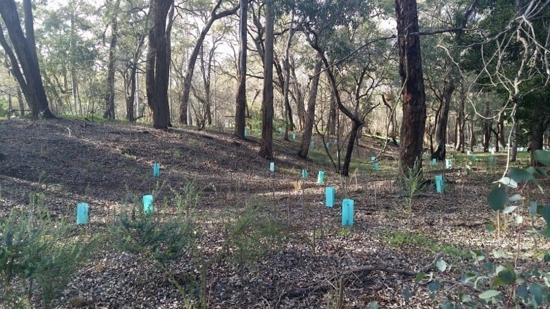 Federation Park , Serpentine June 2016