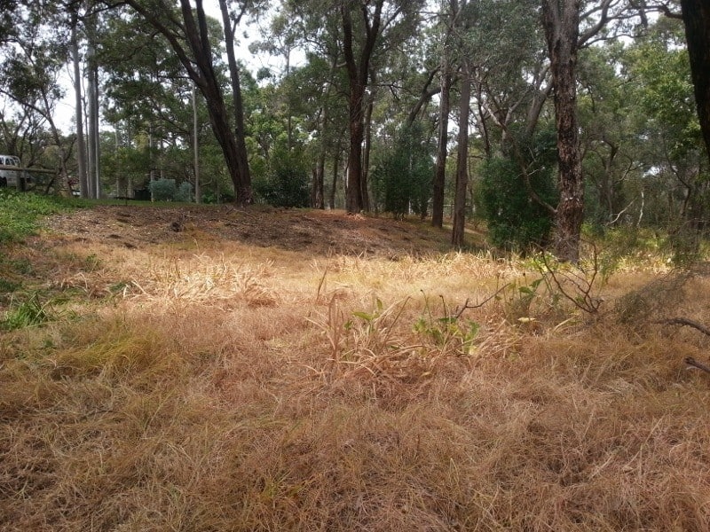 Federation Park Serpentine after weed control October 2013