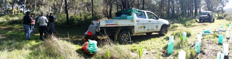 Green Army helping at Myara Brook Planting