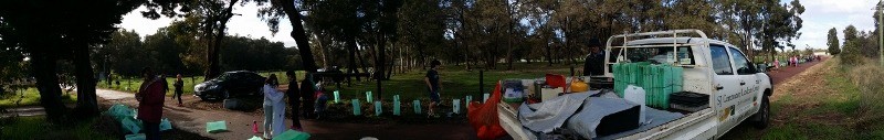 North Dandalup revegetation 2016