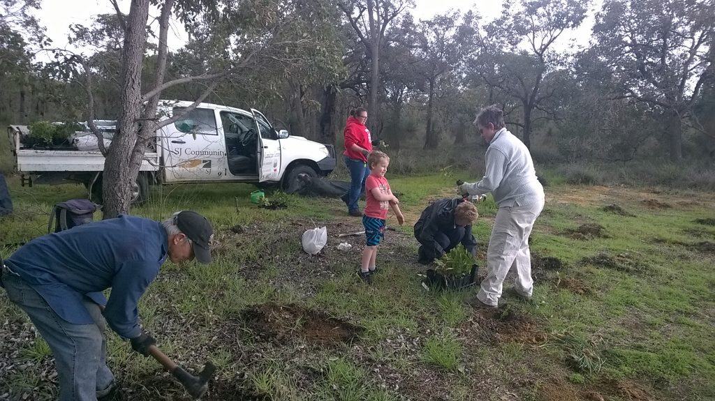 people planting at Brickwood Reserve