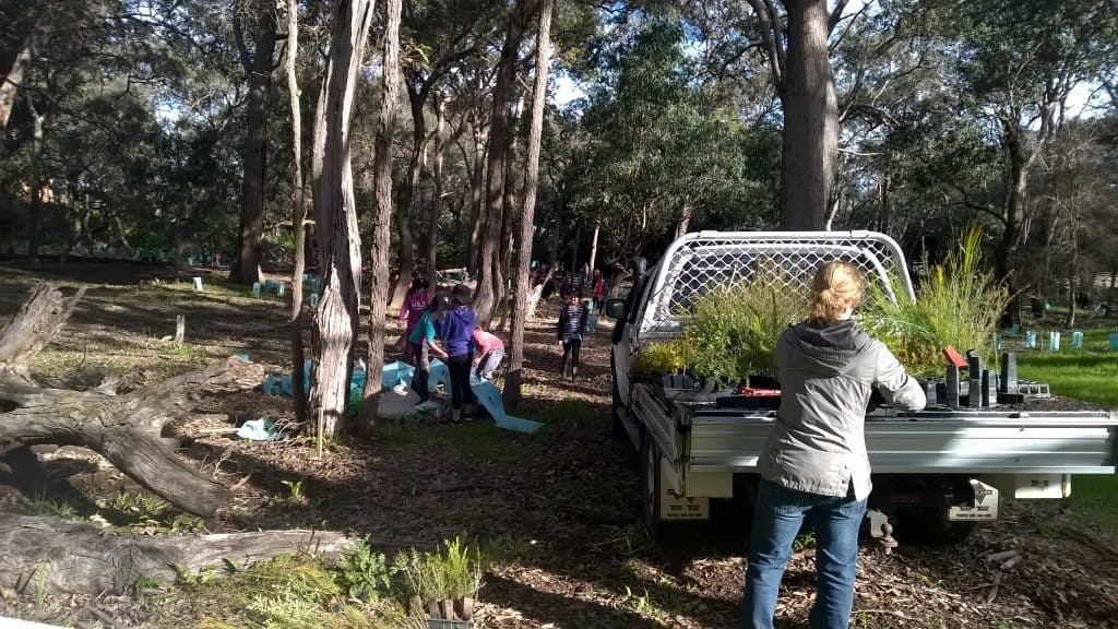 children planting seedlings in Federation Park, Serpentine
