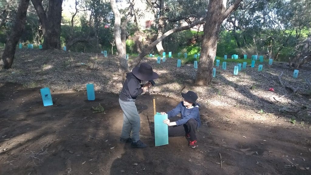 children planting seelings at Federation Park, Serpentine