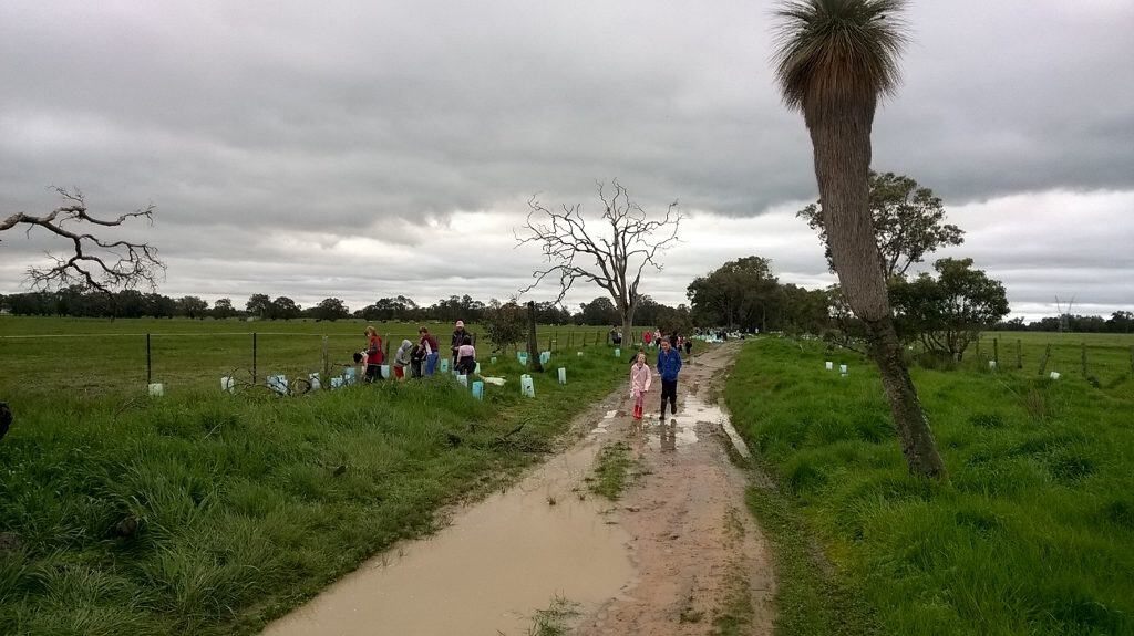 children planting along a road