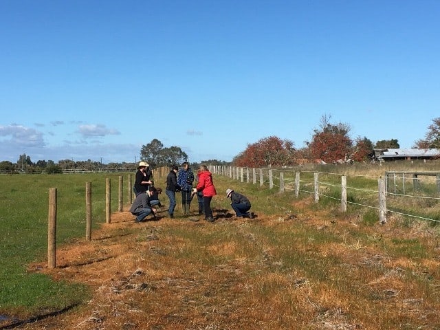 Native species make great windbreaks. People in a paddock.