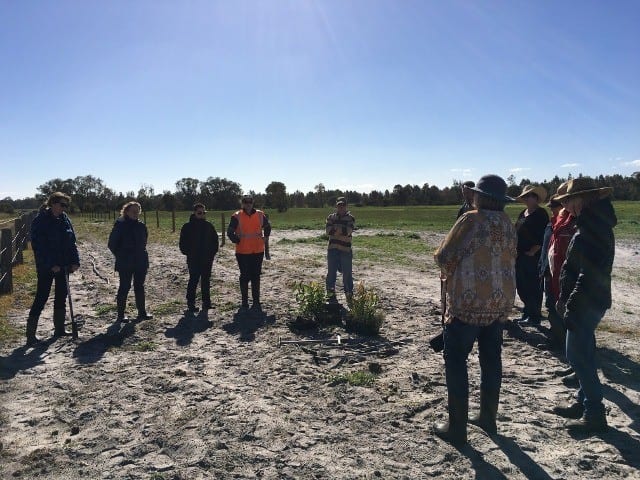 people standing in paddock