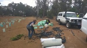 women planting in Serpentine Jarrahdale