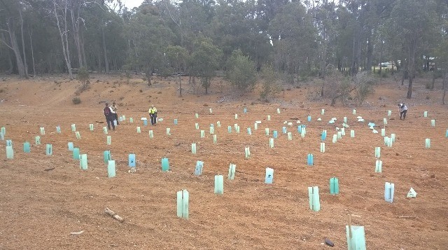 2-sj-shire_green-army-planting-in-jarrahdale-640x357