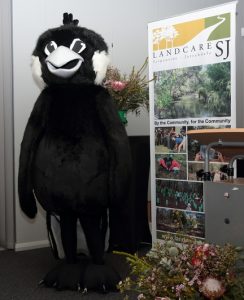 man dressed in black cockatoo costume