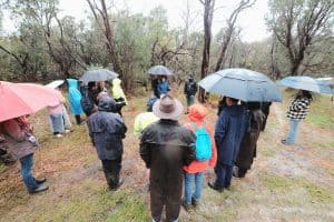 people listening to bushland talk