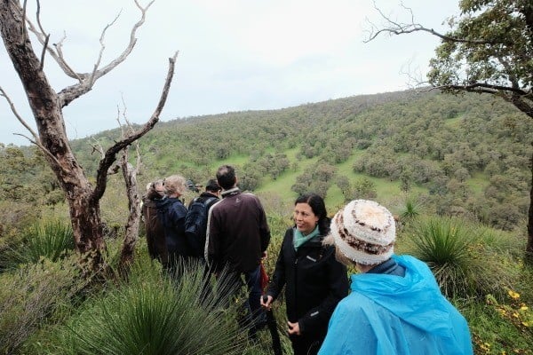 people walking through bushland in keysbrook