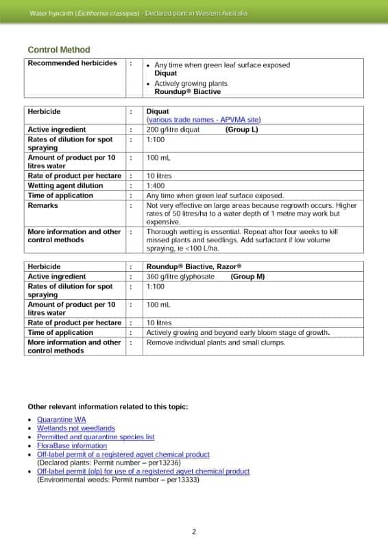 dafwa_info_water_hyacinth_2