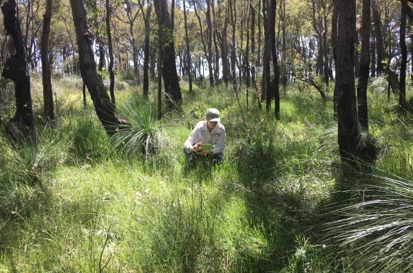 woman taking photos of weeds in bushland