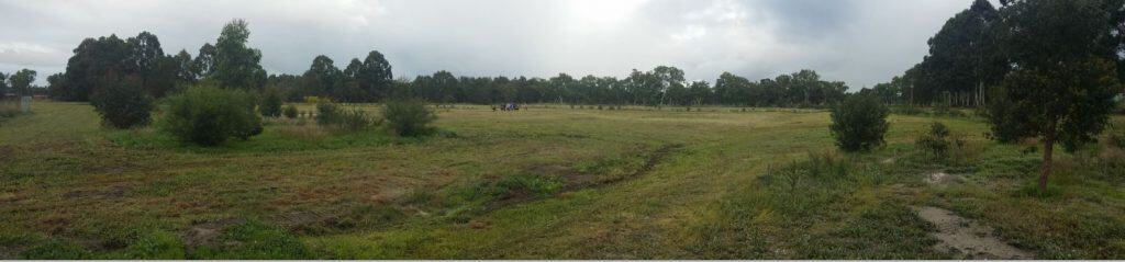 bushland Coffey Road serpentine