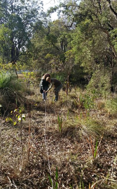flora-monitoring-mundijong-rd