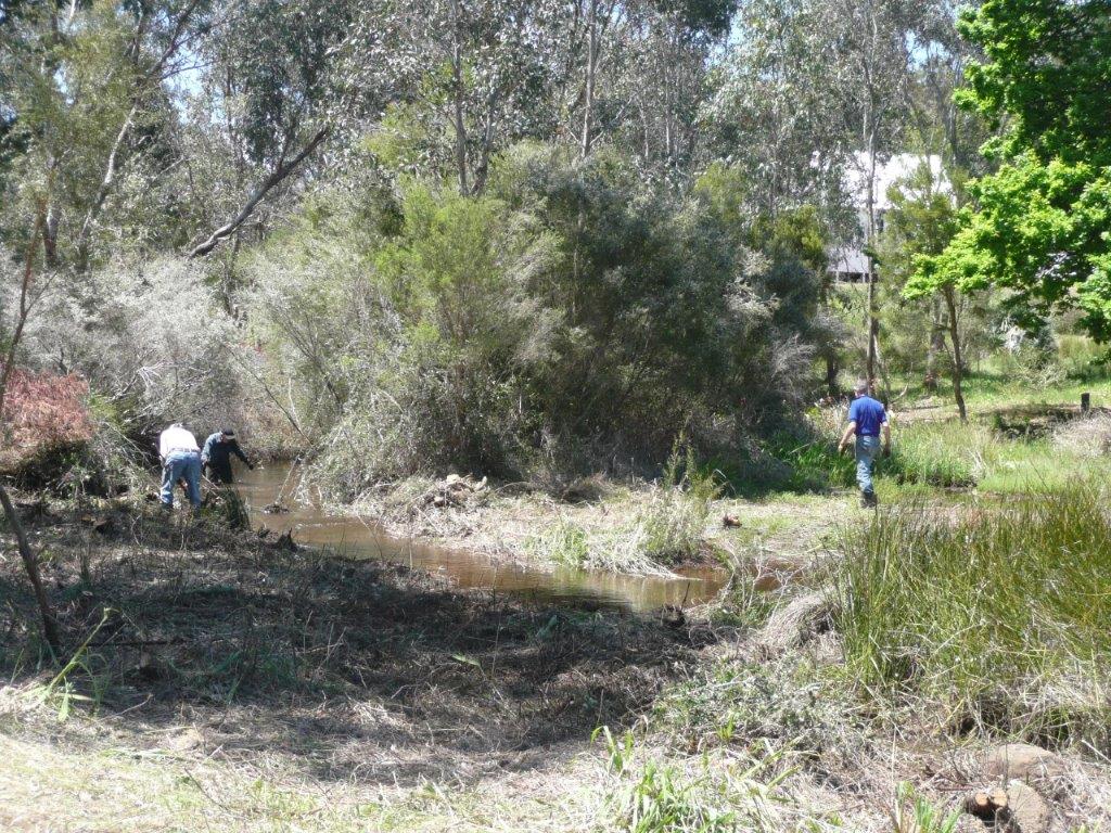 people burning off weeds in bushland in Jarrahdale