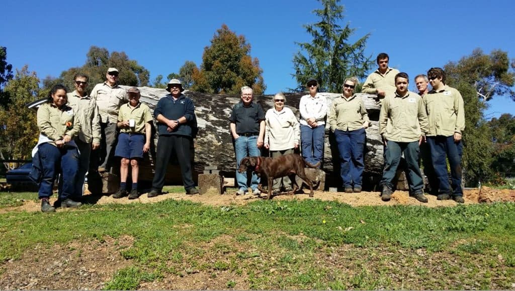 gooralong-brook-planting-with-green-army-2015