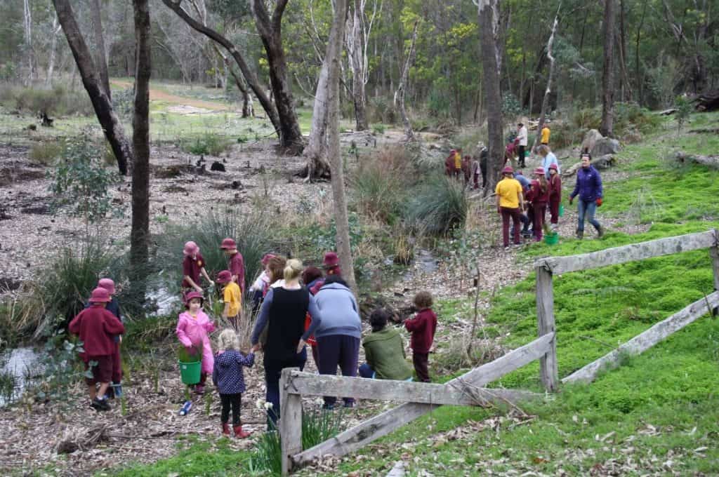 people planting seedling at Gooralong Brook, Jarrahdale
