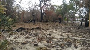 Post burn October2015