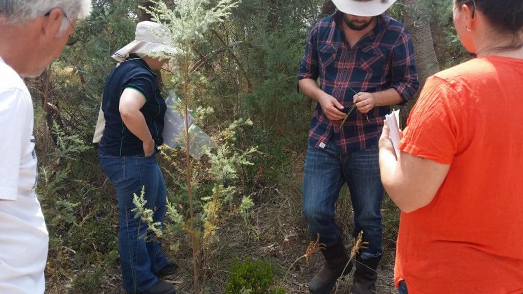 two men and two women inspecting bushland un Serpentine