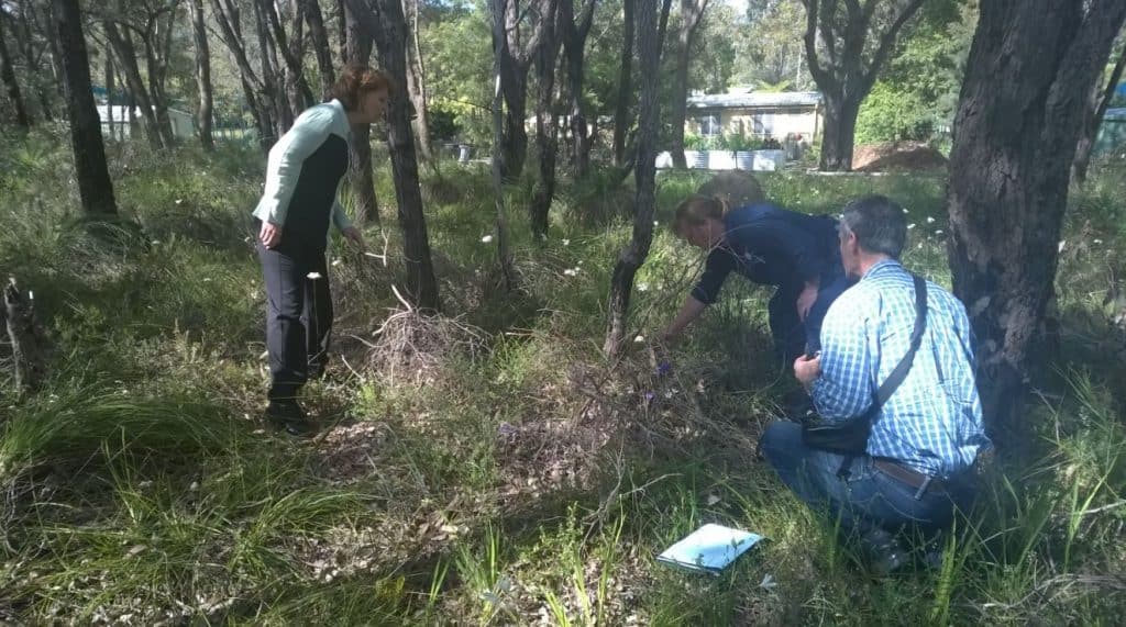 site-visit-with-teachers-ndps-bushland
