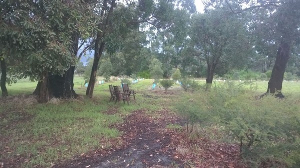 Coffey Rd, Serpentine