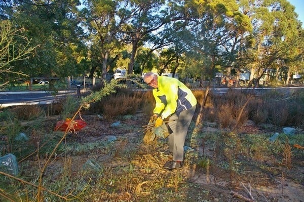 member of BEL clearing weeds at Byford scout hut