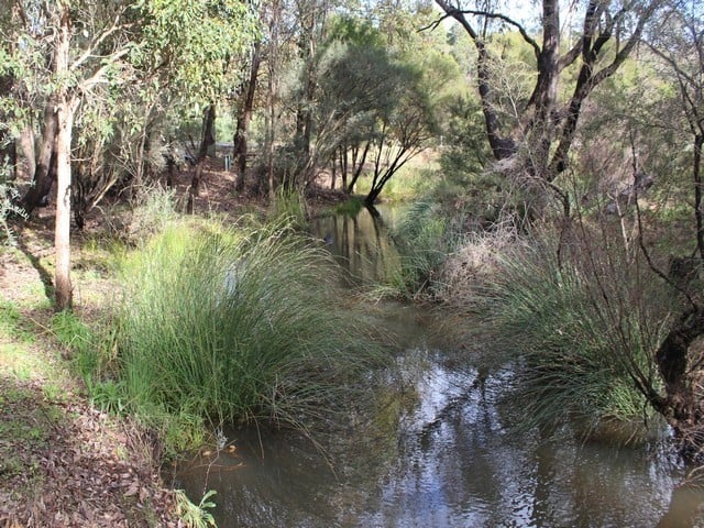 Gooralong Brook, Jarrahdale