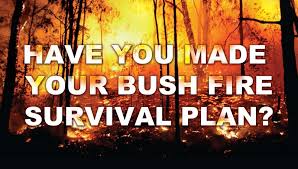 a picture of a bushfire with the words-Have you made your bushfire survival plan?