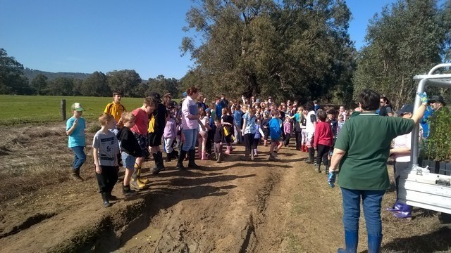 North Dandalup Primary School children standing on Beau Sovereign Drive , North Dandalup waiting to start planting