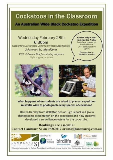 cockatoos in the classroom flyer