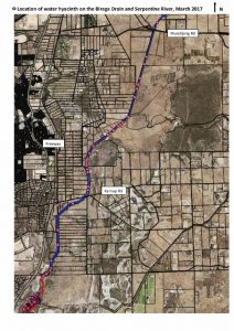 Aerial mud map of the Water Hyacinth in the Birega Drain