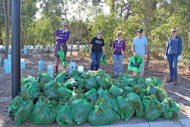 Members of Byford Enviro-link and Landcare SJ officer Kristy Gregory with 37 bags of stink weed collected at Byford Scout Reserve