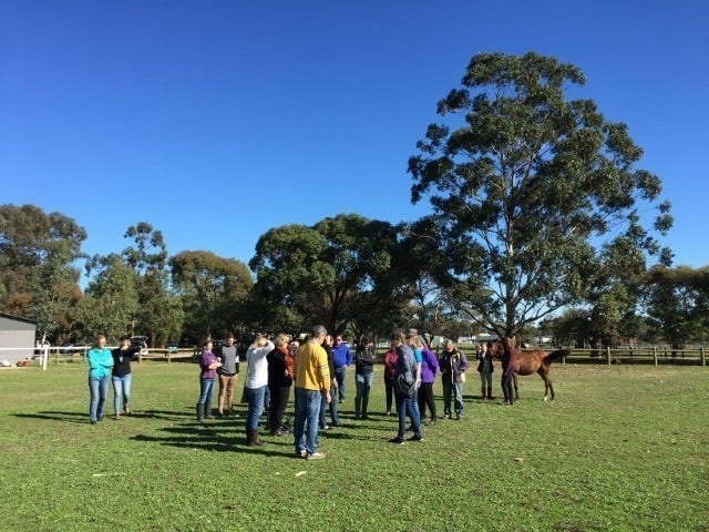 Shanly Green Agistment centre field day