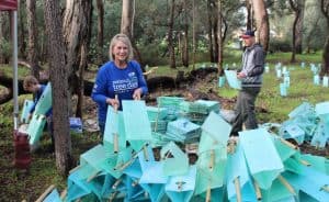 2018 Landcare SJ Schools National Tree Day