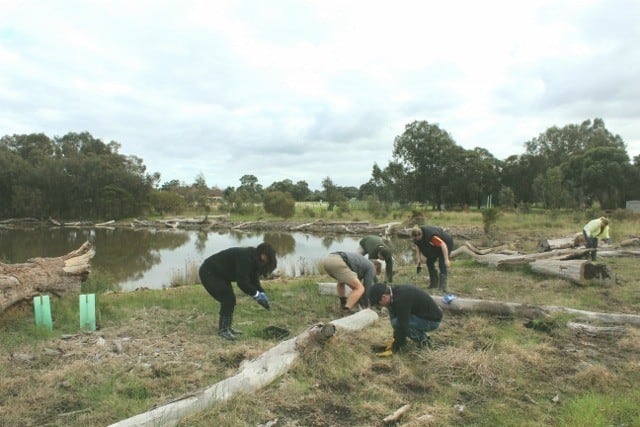 Landcare SJ National Tree Day Arnold Road 2018