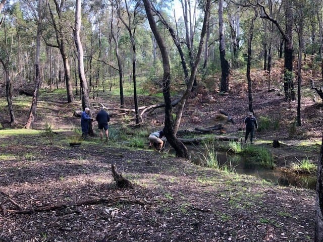people planting at Gooralong Brook, Jarrahdale