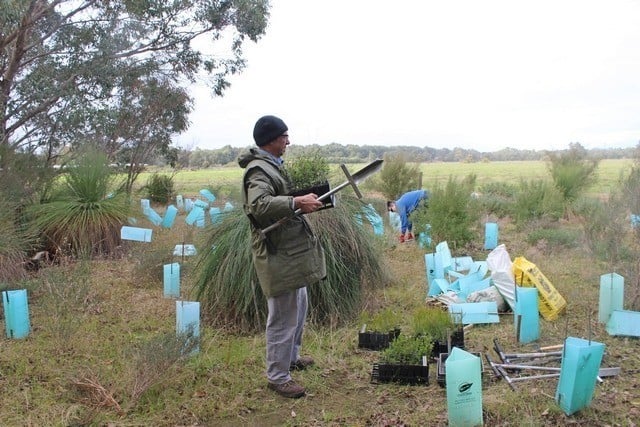 Landcare SJ community members planting native seedlings at Mundijong Road reserve