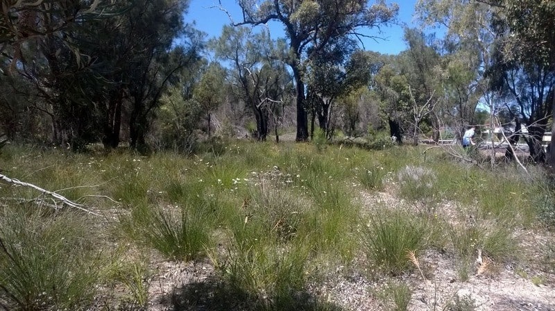 bushland next to rail line Mundijong