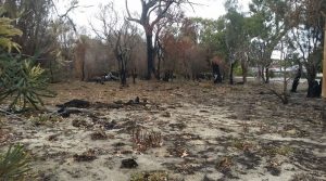 rail reserve after burn