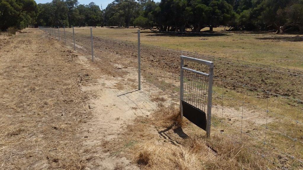 kangaroo gates installed in a conservation fence