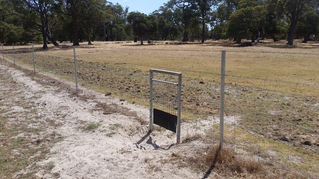 kangaroo gates installed in a conservation fence