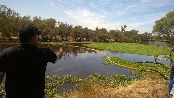 man pointing to a boom acress part a lake to control water hyacinth