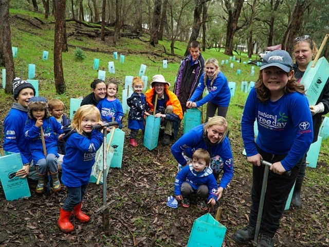 school children planting seedlings in bushland