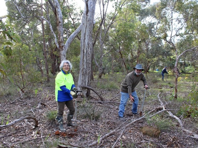 man and woman planting in bushland