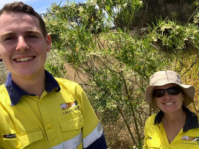 man and woman standing in front of cotton bush