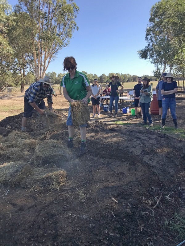 people watching women mixing horse manure with hay in a paddock