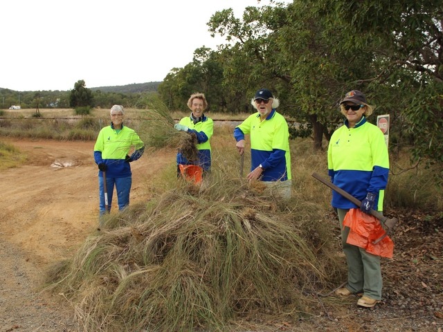 tree women and one man , volunteers standing behind a pile of lovegrass on Soliers Road, Byford